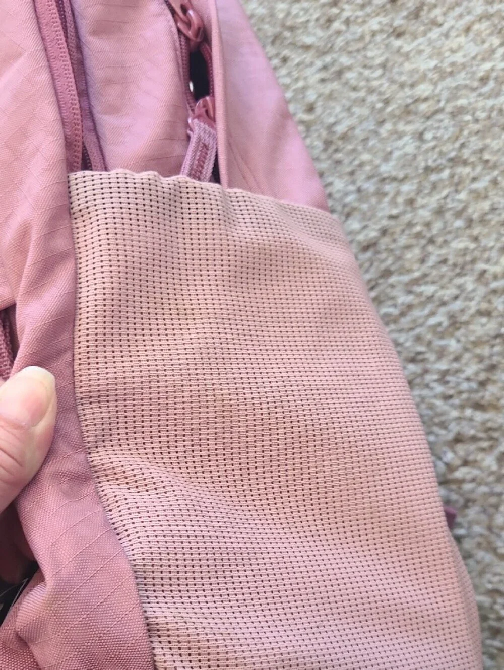 Dakine Rose Pink Daypack Backpack